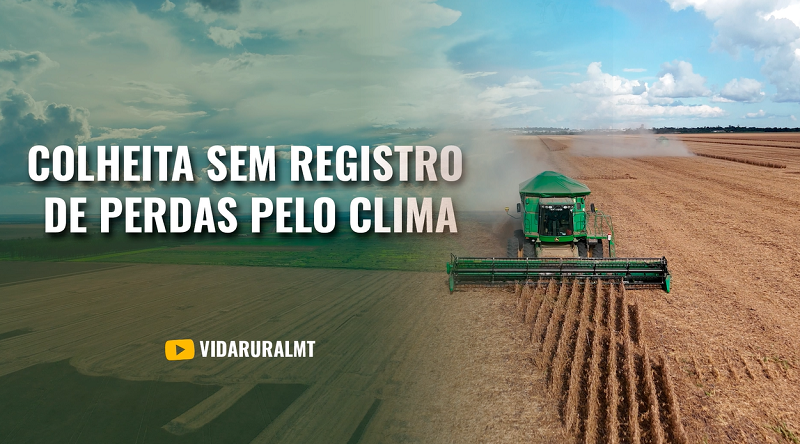 PRODUTOR ENCERRA COLHEITA SEM REGISTRO DE PERDAS PELO CLIMA